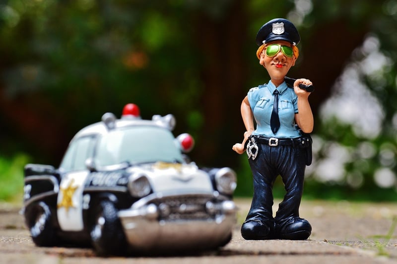 Temporal Police